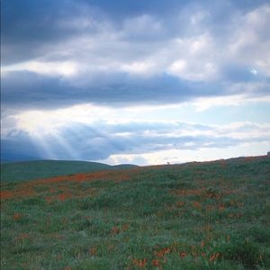 Just slashed all prices